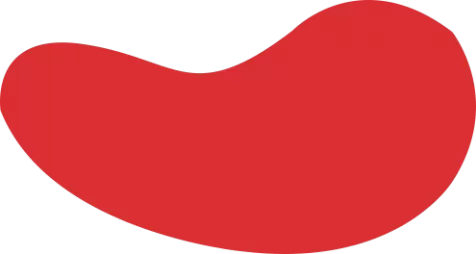 taptap体育官网-taptap官网正规不